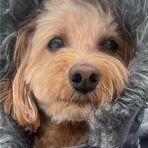 Meet your Posher, Nadine